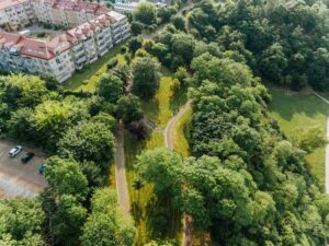 Park Abisynia w Płocku zyska nowe oświetlenie i 52 latarnie