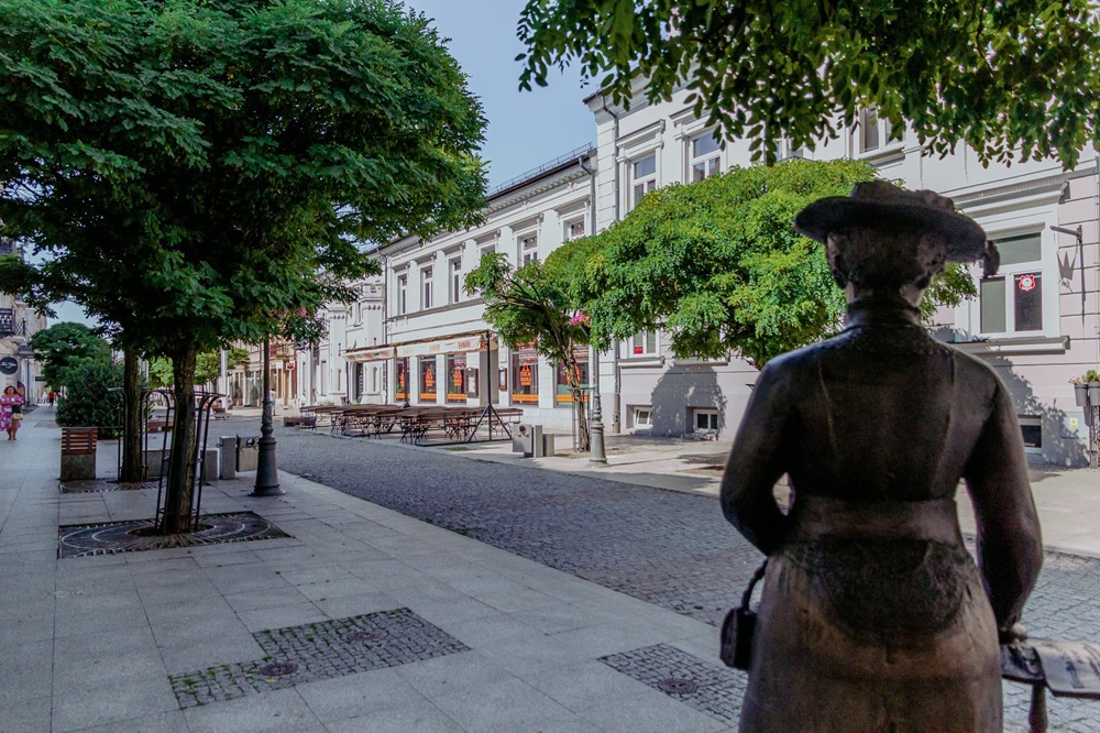 Hotel Angielski Płock i budynek dawnego Hortexu kupione przez miasto