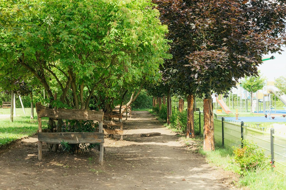 Park Nad Jarem w Płocku się powiększa. Na Skarpie powstaje nowy skwer rekreacyjny